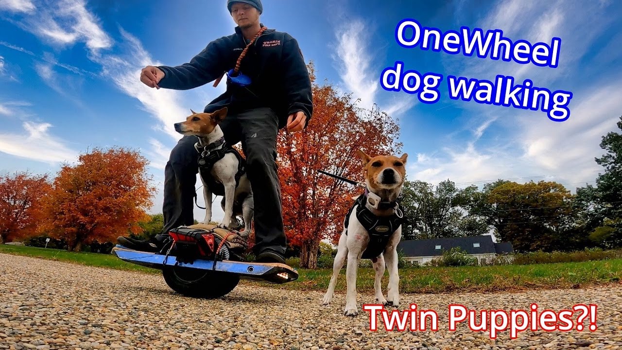 Walking my dog on my Onewheel YouTube