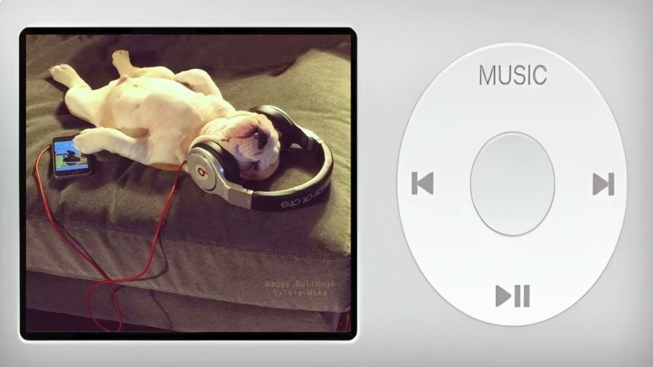 [playlist] 어둠 속에