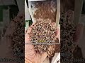 5XZC-10DX Series Air Screen Cleaning Machine #farming #machine #machinerychannel