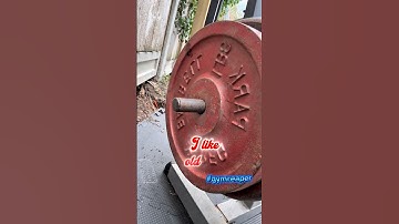 Seated hamstring curl. How to do it. #plates #trainingtips #gymreaper #personaltrainer