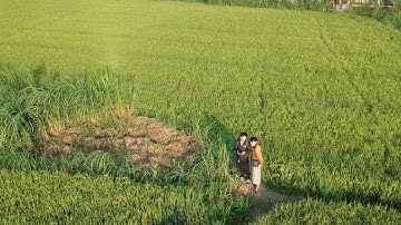 Flycam Gò Công-Tiềng Giang