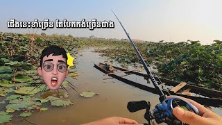 ត្រីចេញខាំច្រើន តែវាត់បែកកង់ច្រើនពេក | #Fishing