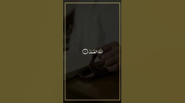 سورة الإخلاص بصوت القارئ مشاري راشد العفاسي 🫀🎧 (أذكار الصباح)