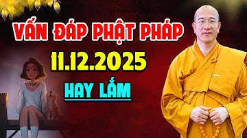 Vấn Đáp Phật Pháp Ngày 11.12.2025 l Thầy Thích Trúc Thái Minh