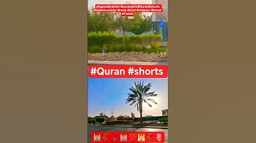 SURAH AT-TIN Egzon - (سورة التين) Ibrahimi #egzonibrahimi #surahattin #islamicstatus #viral #reels