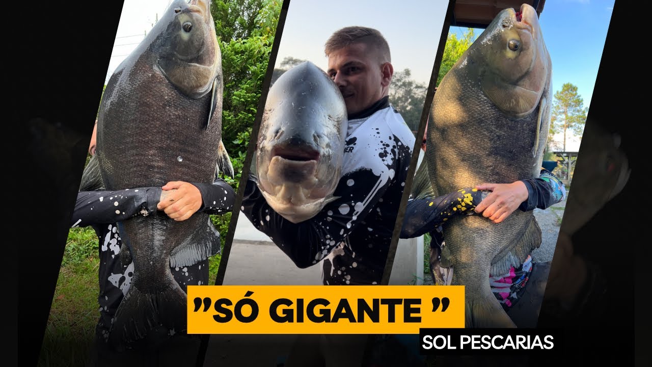 INVERNO CHEGOU?/37KG 33KG 33KG 30KG 30KG 30KG/SÓ PEIXE GIGANTE/PESQUEIRO SOL PESCARIAS