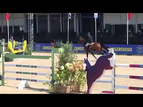 Cashpaid J&F jump-off CSI Brussels Stephex Masters