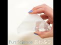 【Fun Science】あわふじ