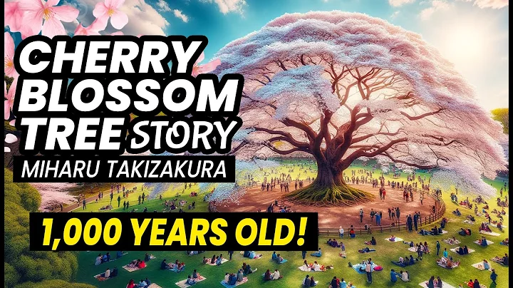 Japan’s Most Beautiful Cherry Blossom Tree | Miharu Takizakura Story ★ ONLY in JAPAN - DayDayNews