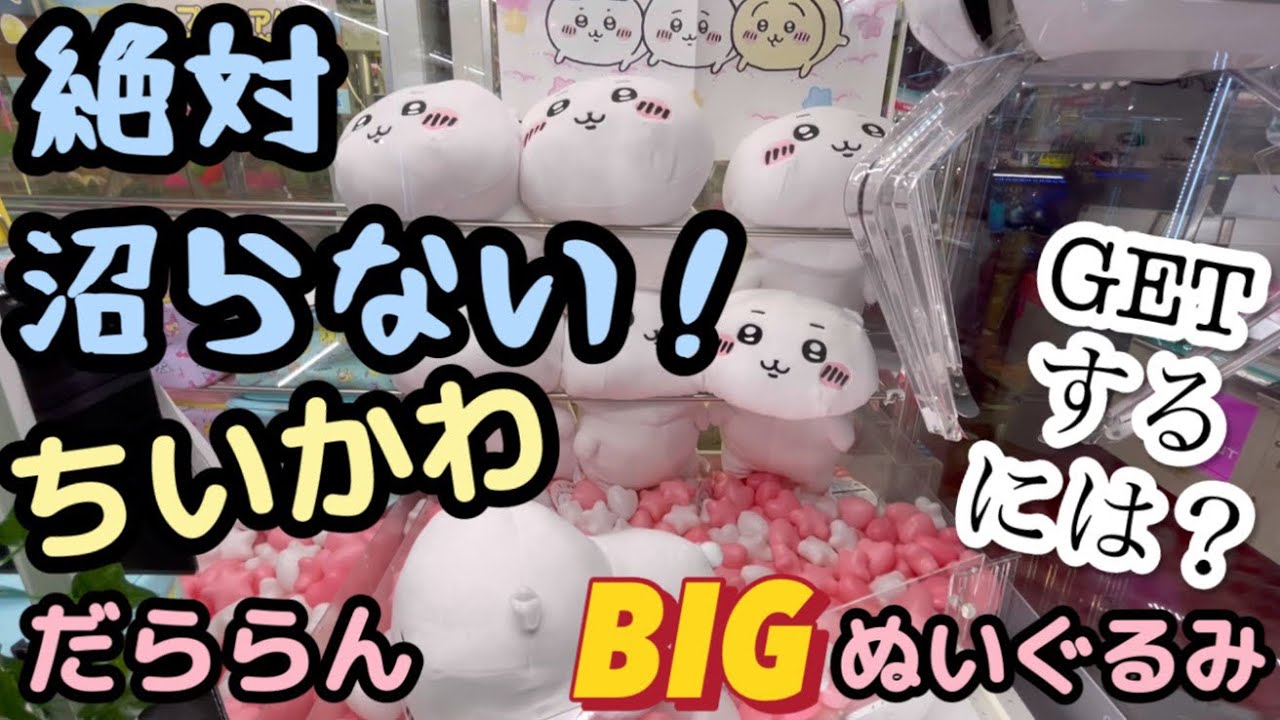 ハチワレ だららんBIG ぬいぐるみ マスコット ダイカットクッション スポワレ