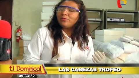 Las Cabezas trofeo: descubra el misterio de las cabezas reducidas de la selva