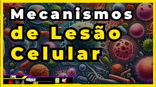 Aula 3. Mecanismos de lesão celular (Apoptose e Necrose)