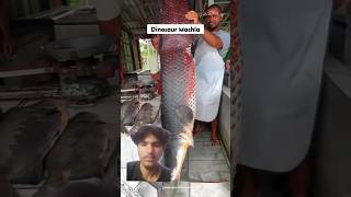 Giant Fish Arapaima 😱