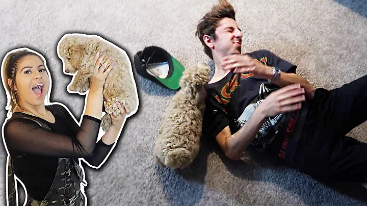 New dog ATTACKS FaZe Rug!! *SURPRISING JACKIE*