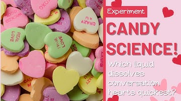 Science Experiments For Kids | Which Liquid Dissolves Candy Fastest?