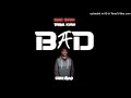 BAD Blaiz Fayah X Tribal Kush Cray Remix BAD Blaiz Fayah X Tribal Kush Cray Remix