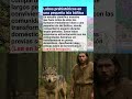 Lobos en una isla báltica hace 5 000 años
