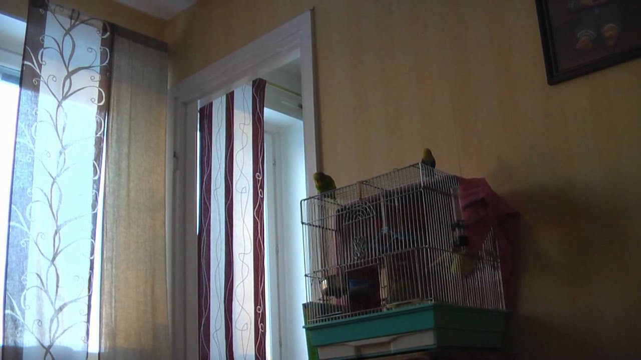 snutte pratar ( Snutte is talking )