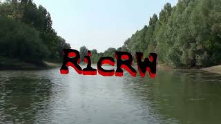 Music: Black Rainforest - RicRW