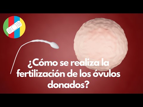 Video: ¿Los óvulos fertilizados son más saludables?