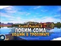 Сом в троллинге. Фармим серебро. Русская Рыбалка 4 [Стрим]