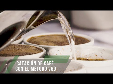 Catación de café con el método v60 - TvAgro por Juan Gonzalo Angel Restrepo
