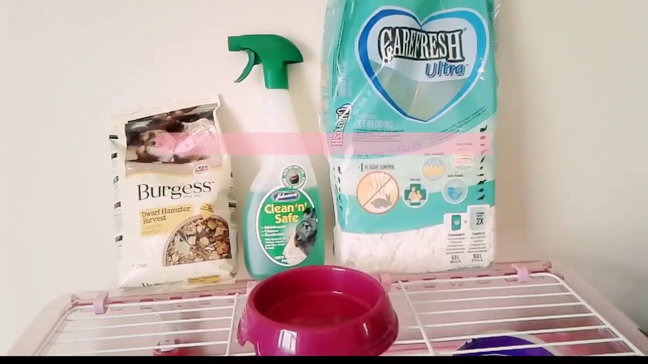 PINK ZOO ZONE 1 CAGE TOUR YouTube