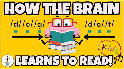 How the Brain Learns To Read For Kids |The Reading Brain |Alphabet Songs Preschool Videos|Lyrics