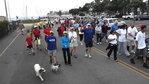 JDRF 2011 Walk to Cure Diabetes