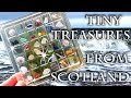 Collecting Tiny Summer Treasures #scotland in #summer