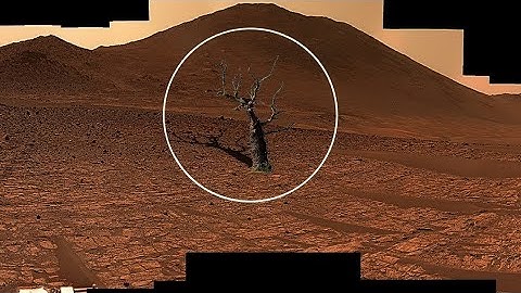 NASA Mars Perseverance Rover