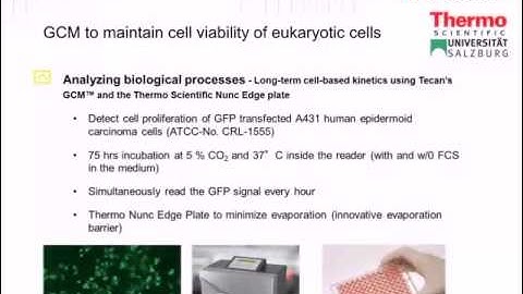 Webinar: Helping you to shape in vitro models with cell-based assays
