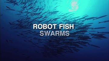 Robot-fish swarms against climate change
