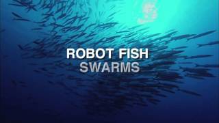 Robot-fish swarms against climate change
