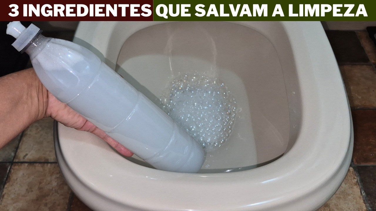 3 Ingredientes simples que salvam o  seu vaso sanitário