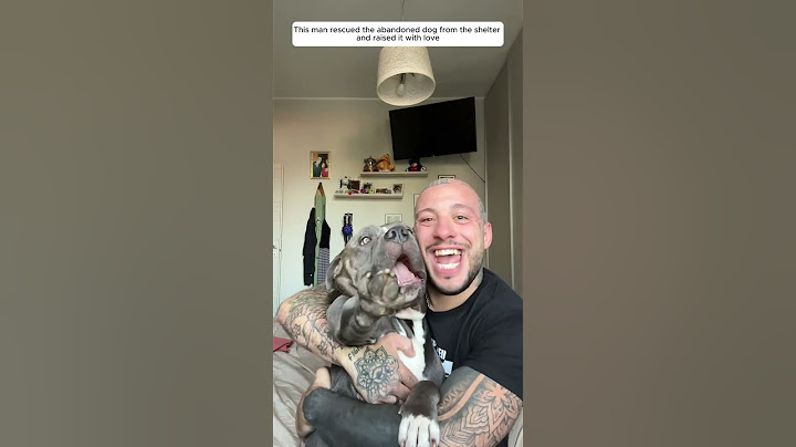 This man rescued the abandoned dog from the shelter and raised it with love