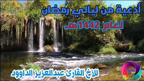 دعاء الليله الخامسه من رمضان لعام ١٤٤٢هـ في مسجد الوالدين للأخ القارئ عبدالعزيز الداوود