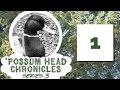 Possum head chronicles series 03 episode 01