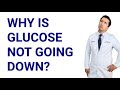 Why is Your Blood Sugar NOT Under Control Although You&rsquo;re Trying.