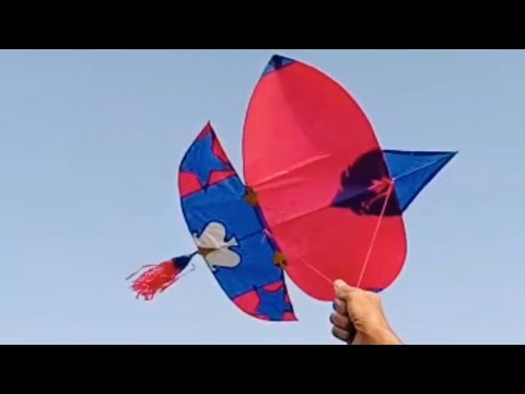 Small Kite Flying | 2.5 G Patang | Basant Festival | Basant Date | Kite Festival | Kite hxh