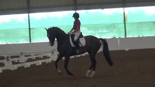 Silverstein and Marlena Second level test 3 67.74%