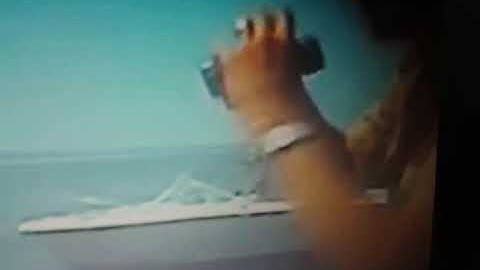 Jaws 3 finding nemo part 16