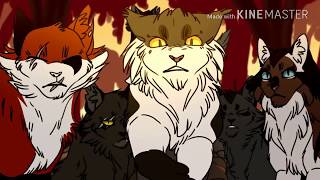 WARRIOR CATS - CENTURIES