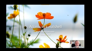 Adonis in a nutshell