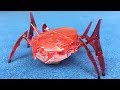 HEXBUG Scarab Robotic Bug Unboxing &amp; Review