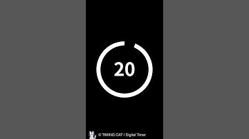 21 Seconds Circle Timer（Vertical）
