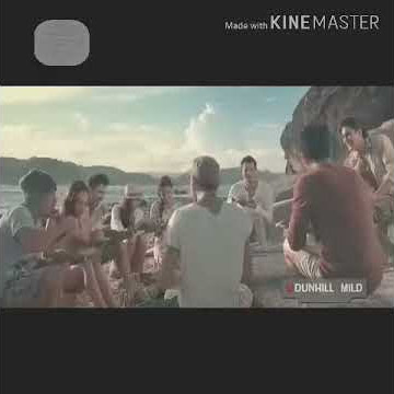 Dunhill Fine Cut Mild 40 Cuts Fine Cut For Fine Taste (2013)