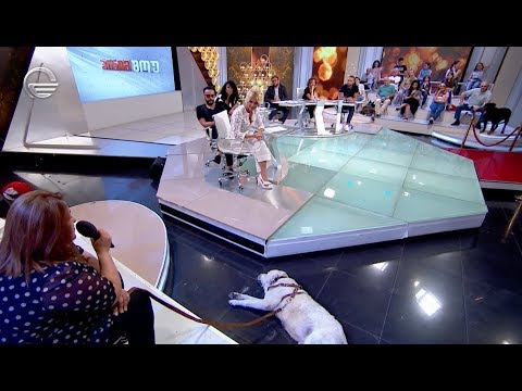 გმირი მარკოს ისტორია