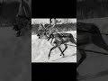 Immersive Warm Up Routine christmas short #christmaswarmup #viralwarmup #interactivewarmup