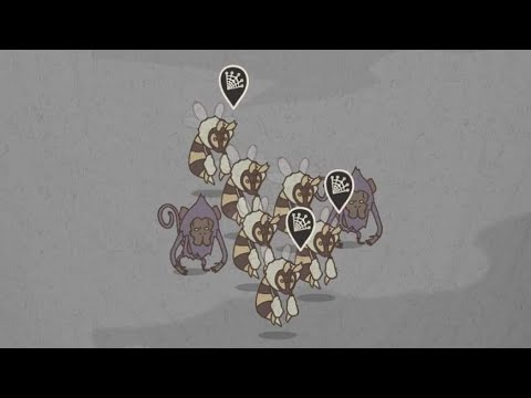 Wild Tamer 15 Mt Draco Gameplay Walkthrough Youtube Wild Tamer 15 Mt Draco Gameplay Walkthrough Youtube